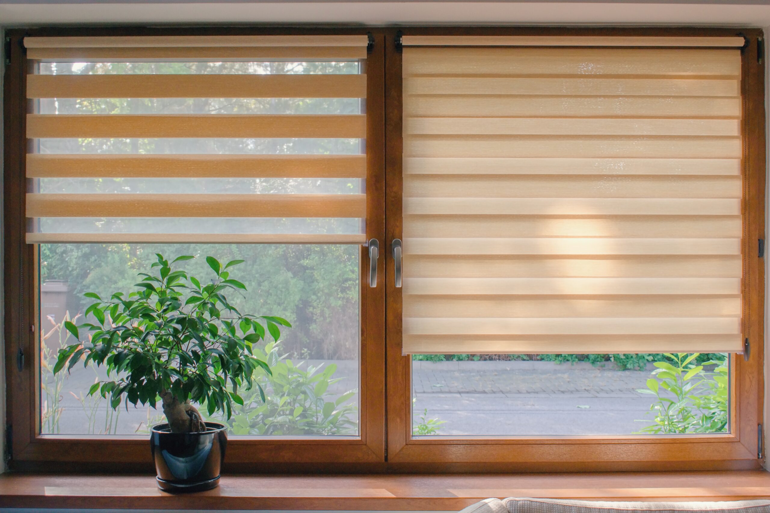 Window roller, duo system day and night.  Cozy home interior.